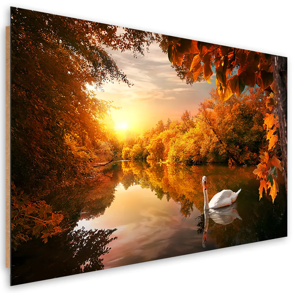 ⁨Obraz Deco Panel, Łabędź na stawie jesień (Rozmiar 90x60)⁩ w sklepie Wasserman.eu