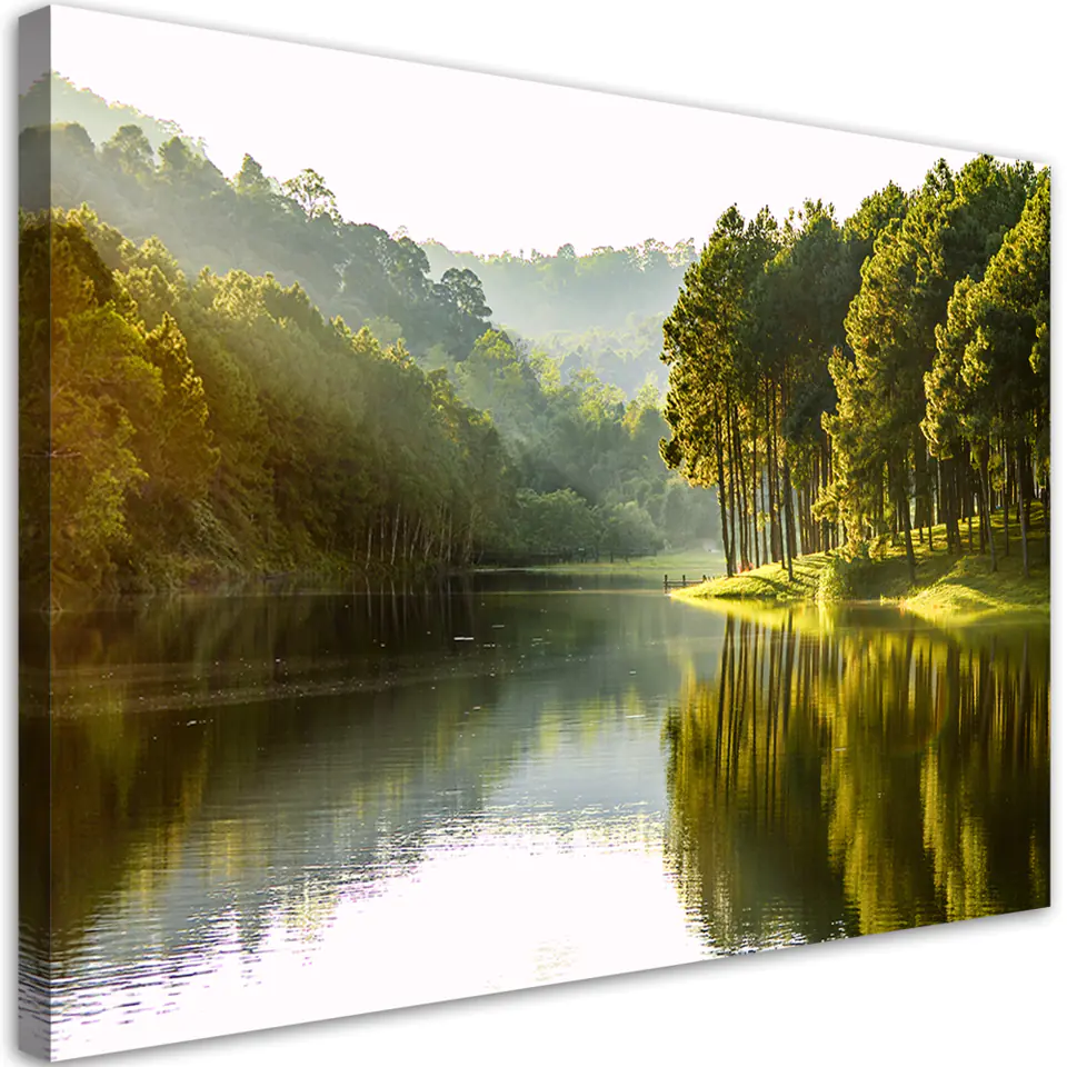 ⁨Obraz na płótnie, Krajobraz las drzewa natura (Rozmiar 120x80)⁩ w sklepie Wasserman.eu