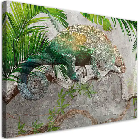 ⁨Obraz na płótnie, Kameleon na gałęzi dżungla (Rozmiar 60x40)⁩ w sklepie Wasserman.eu