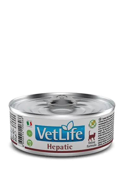 ⁨FARMINA Vet Life Natural Diet Cat Hepatic - mokra karma dla kota - 85 g⁩ w sklepie Wasserman.eu