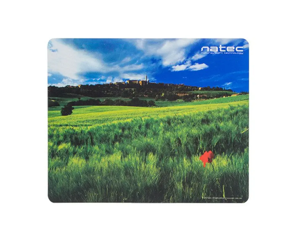 ⁨Mouse pad Photo Italy 220x180mm 10-Pack⁩ at Wasserman.eu