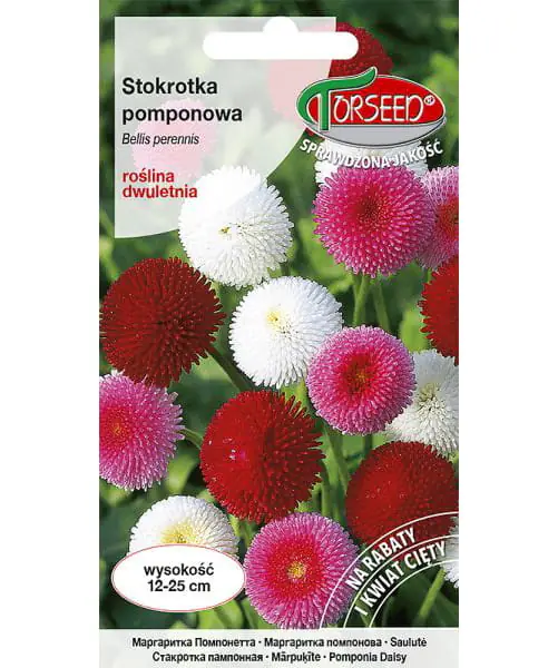 ⁨Nasiona Stokrotka Pomponowa 0,1g⁩ w sklepie Wasserman.eu