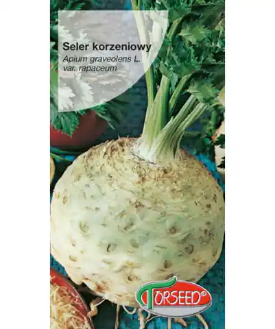 ⁨Nasiona Seler korzeniowy Talar 0,5g⁩ w sklepie Wasserman.eu