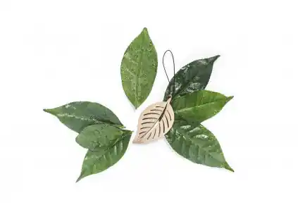⁨The Leaf Zielona Herbata i Bergamotka - pachnąca zawieszka do samochodu⁩ w sklepie Wasserman.eu
