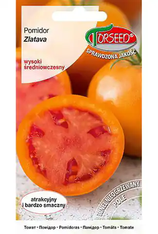 ⁨Nasiona Pomidor Zlatava 0,2g⁩ w sklepie Wasserman.eu