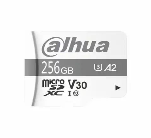 ⁨DAHUA TF-P100/256G 256GB Memory Card⁩ at Wasserman.eu