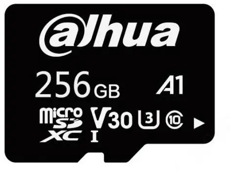 ⁨256GB DAHUA TF-L100-256GB Memory Card⁩ at Wasserman.eu