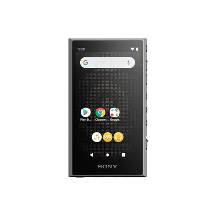 Przenośny odtwarzacz audio Sony NW-A306 Walkman A Series 32 GB, czarny Przenośny odtwarzacz audio Sony | Walkman A Series | NW-A w sklepie Wasserman.eu