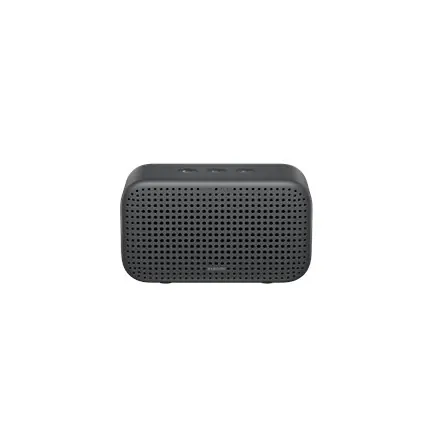 Xiaomi 07G Mono portable speaker Black at Wasserman.eu