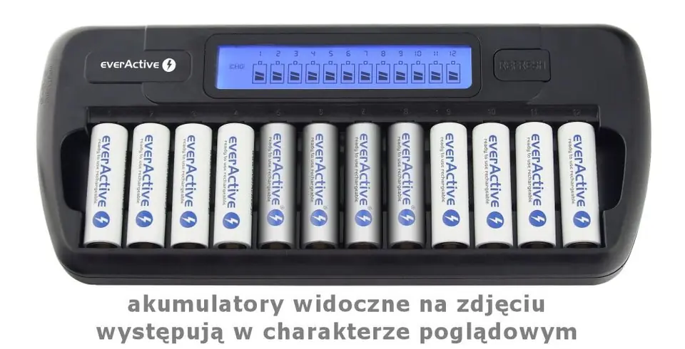 BATTERY CHARGER NC-1200 at Wasserman.eu