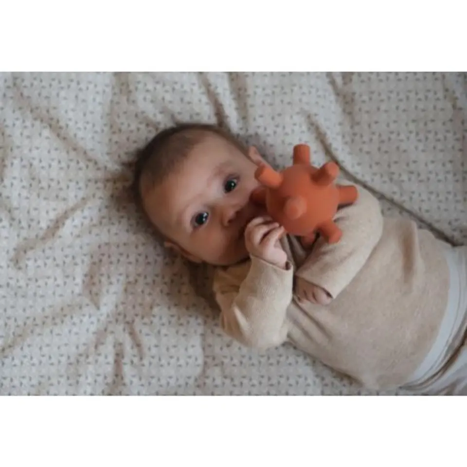 ⁨Filibabba sensory teether ball rust⁩ at Wasserman.eu