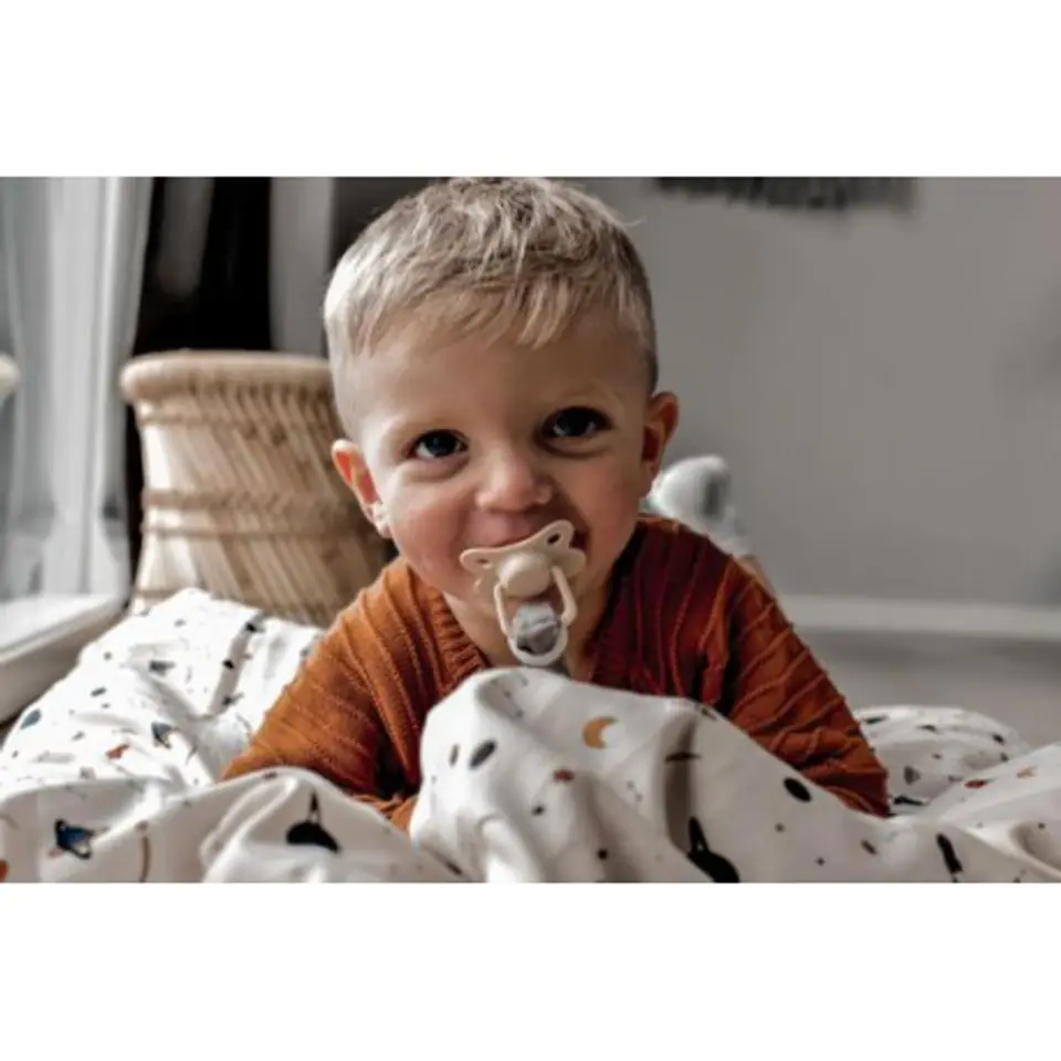 ⁨Filibabba pacifier 2 pcs. 6M+ Golden Mustard⁩ at Wasserman.eu