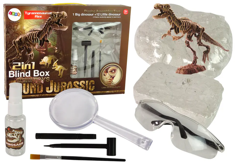 ⁨Zestaw Archeologiczny 2w1 Dinozaur Szkielet Tyranozaur⁩ w sklepie Wasserman.eu