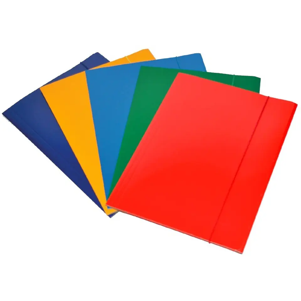 ⁨Teczka lakier z gumką mix kolor 600g (10szt.) ALIGA TL-100⁩ w sklepie Wasserman.eu