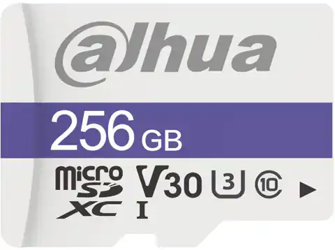 ⁨Karta pamięci 256GB DAHUA TF-C100/256GB⁩ w sklepie Wasserman.eu