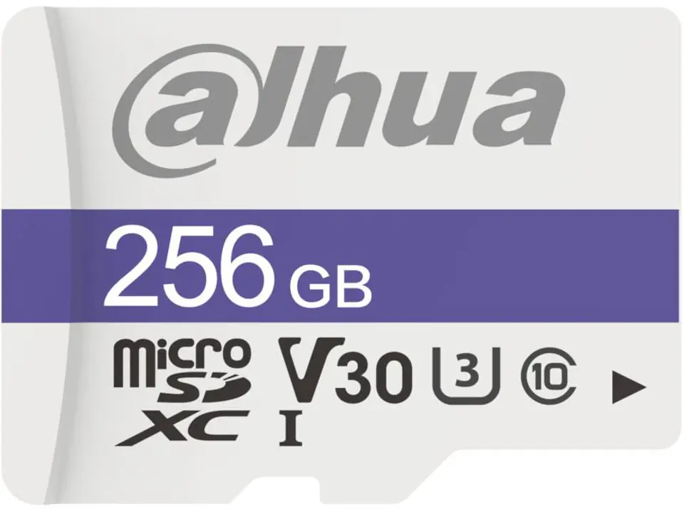 ⁨DAHUA TF-C100/256GB 256GB Memory Card⁩ at Wasserman.eu