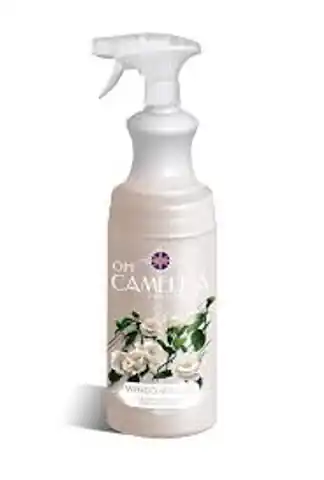 ⁨CAMELLIA Spray 0,75L Preparat do szyb, okien i luster PROFESSIONAL WINDOWS&GLASS⁩ w sklepie Wasserman.eu