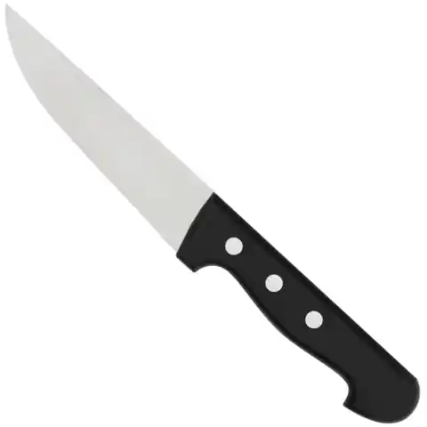 ⁨Nóż do krojenia surowego mięsa dł. 145 mm SUPERIOR⁩ w sklepie Wasserman.eu
