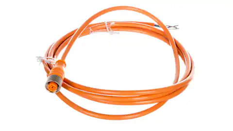 ⁨Cable with M12 female connector 4-pin straight with cable 2m DOL-1204-G02M 6009382⁩ at Wasserman.eu