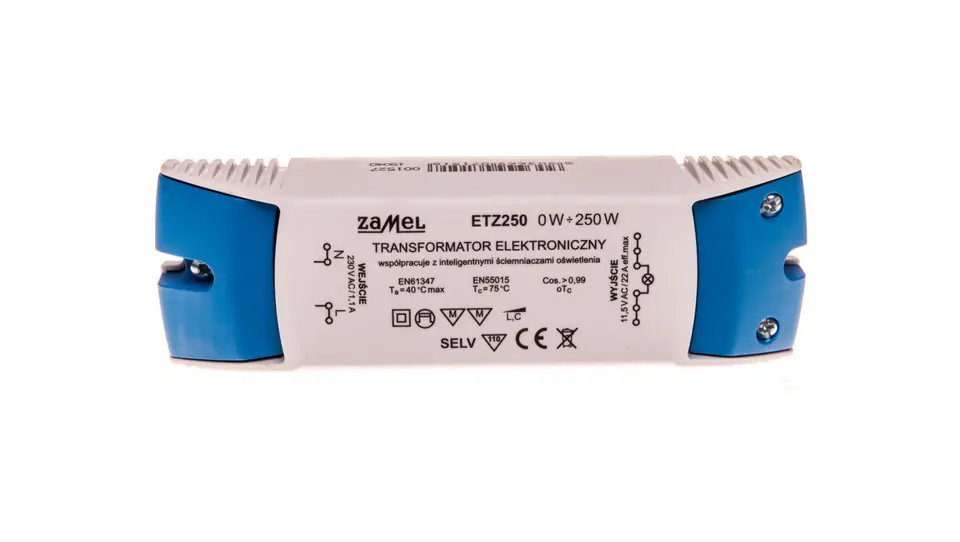 ⁨Transformator elektroniczny 230/11,5V 0-250W ETZ250 LDX10000104⁩ w sklepie Wasserman.eu