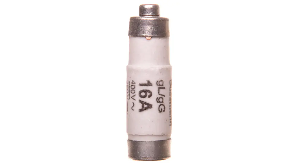 ⁨Fuse insert D01 16A gL/gG 400V E14 16NZ01⁩ at Wasserman.eu