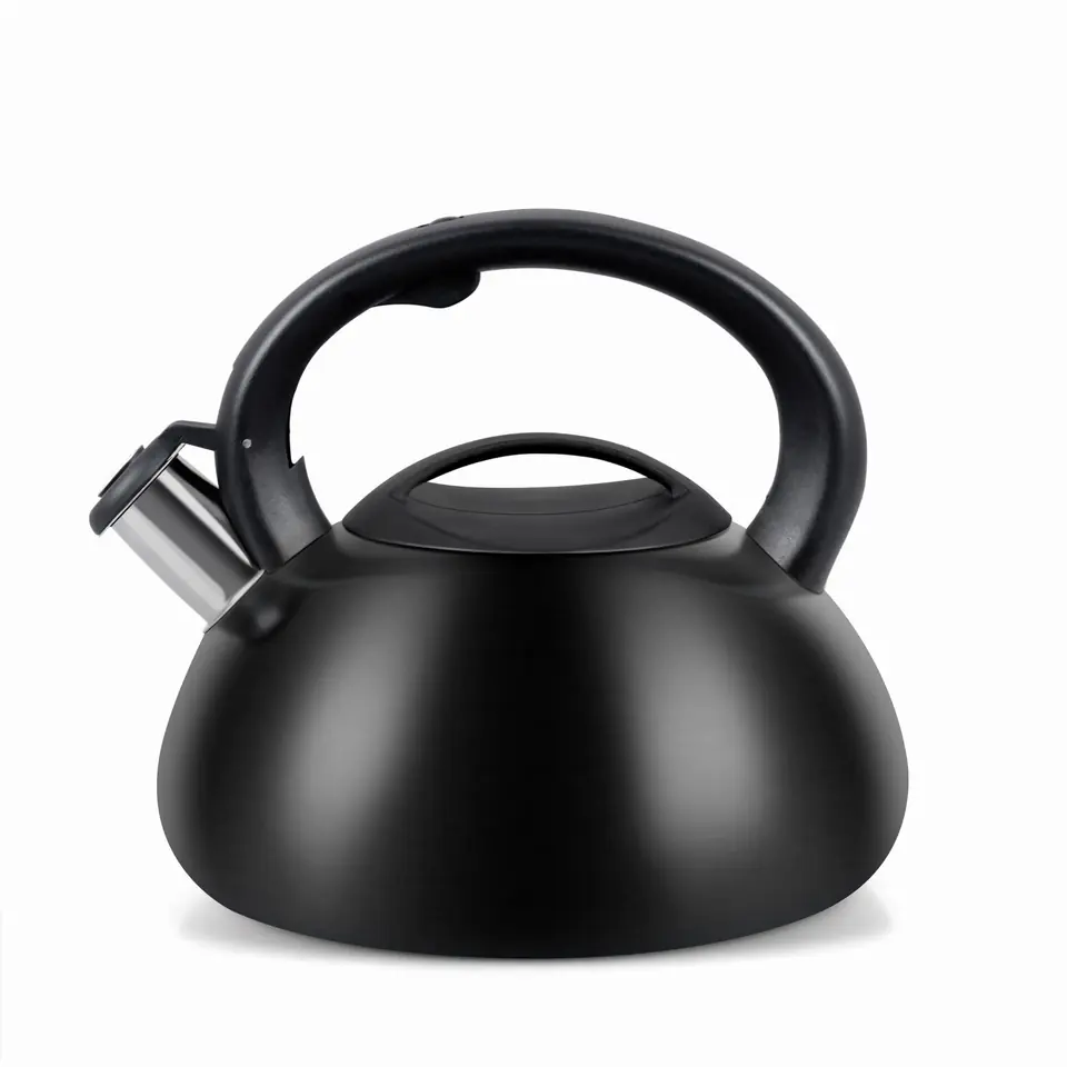 ⁨Kettle PROMIS TMC01BS AUGUSTO MATTE 3 liters INDUCTION, GAS⁩ at Wasserman.eu