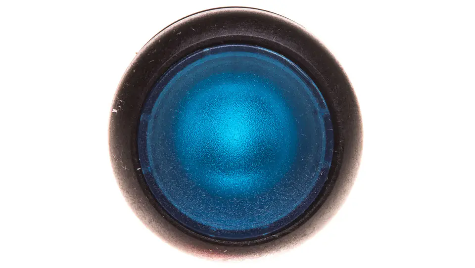 ⁨Push button drive blue with self-return backlight M22S-DL-B 216932⁩ at Wasserman.eu