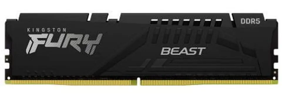⁨DDR5 Fury Beast Black 16GB(2 8GB)/5600 CL36 EXPO⁩ at Wasserman.eu