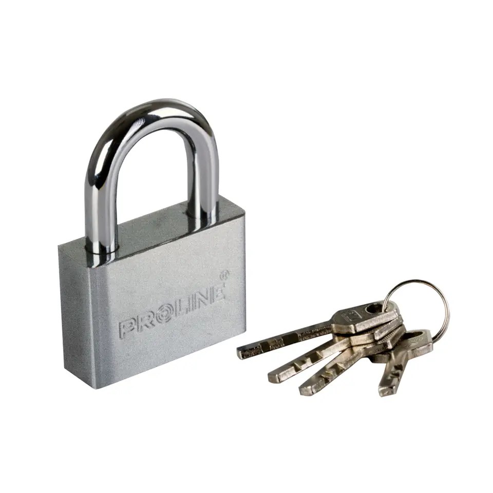 ⁨REINFORCED CAST IRON PADLOCK 40MM HARD. EL. KEY PROLINE⁩ at Wasserman.eu