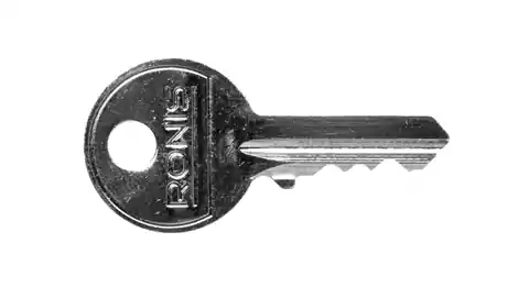 ⁨Klucz Ronis nr 455 do przełączników kluczykowych SIRIUS ACT 3SU1950-0FC80-0AA0⁩ w sklepie Wasserman.eu