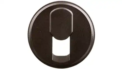 ⁨CELIANE Badge für RJ45 Single Socket Graphite 067937⁩ im Wasserman.eu