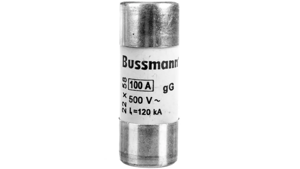 ⁨Fuse insert cylindrical 22x58mm 100A gL/gG 690V C22G100⁩ at Wasserman.eu