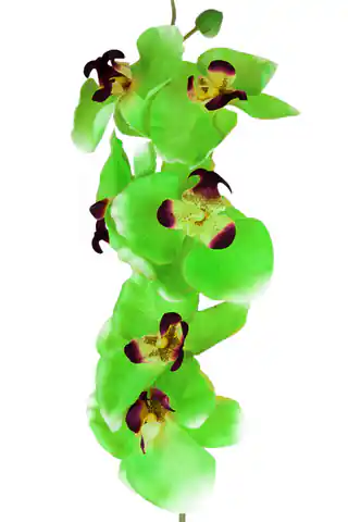 ⁨Roślina sztuczna-storczyk zielony_Aluro⁩ w sklepie Wasserman.eu