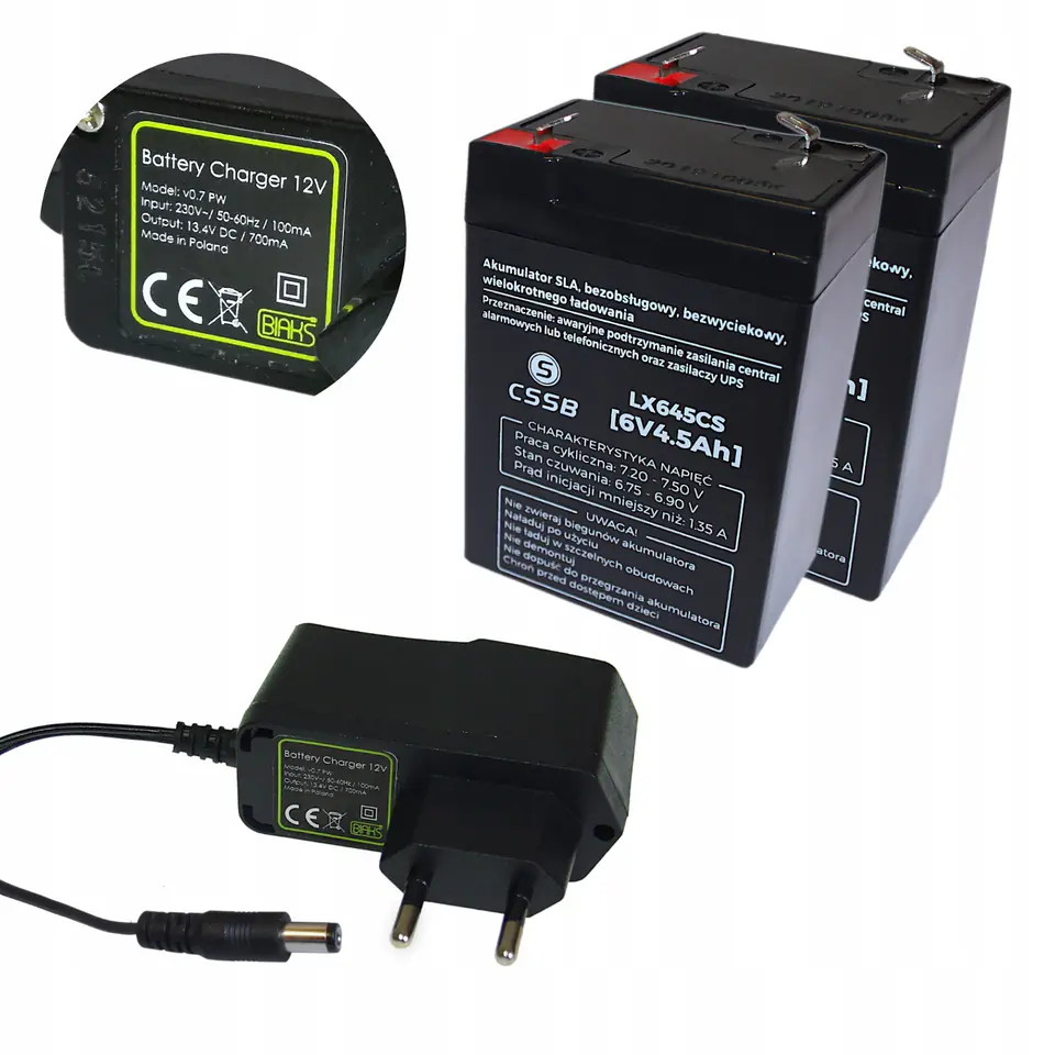 ⁨SET FOR TOY CAR 2x battery 6V 4,5Ah + VEHICLE CHARGER⁩ at Wasserman.eu