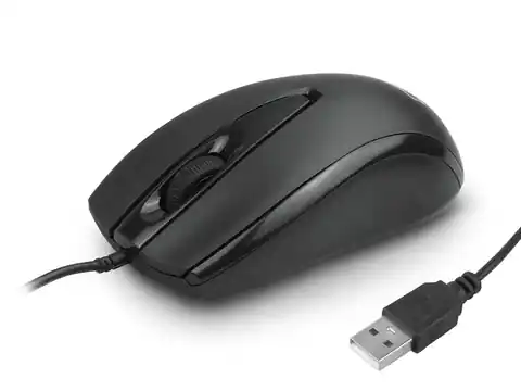 ⁨1 szt.  Mysz komputerowa LTC, przewodowa, czarna.⁩ w sklepie Wasserman.eu