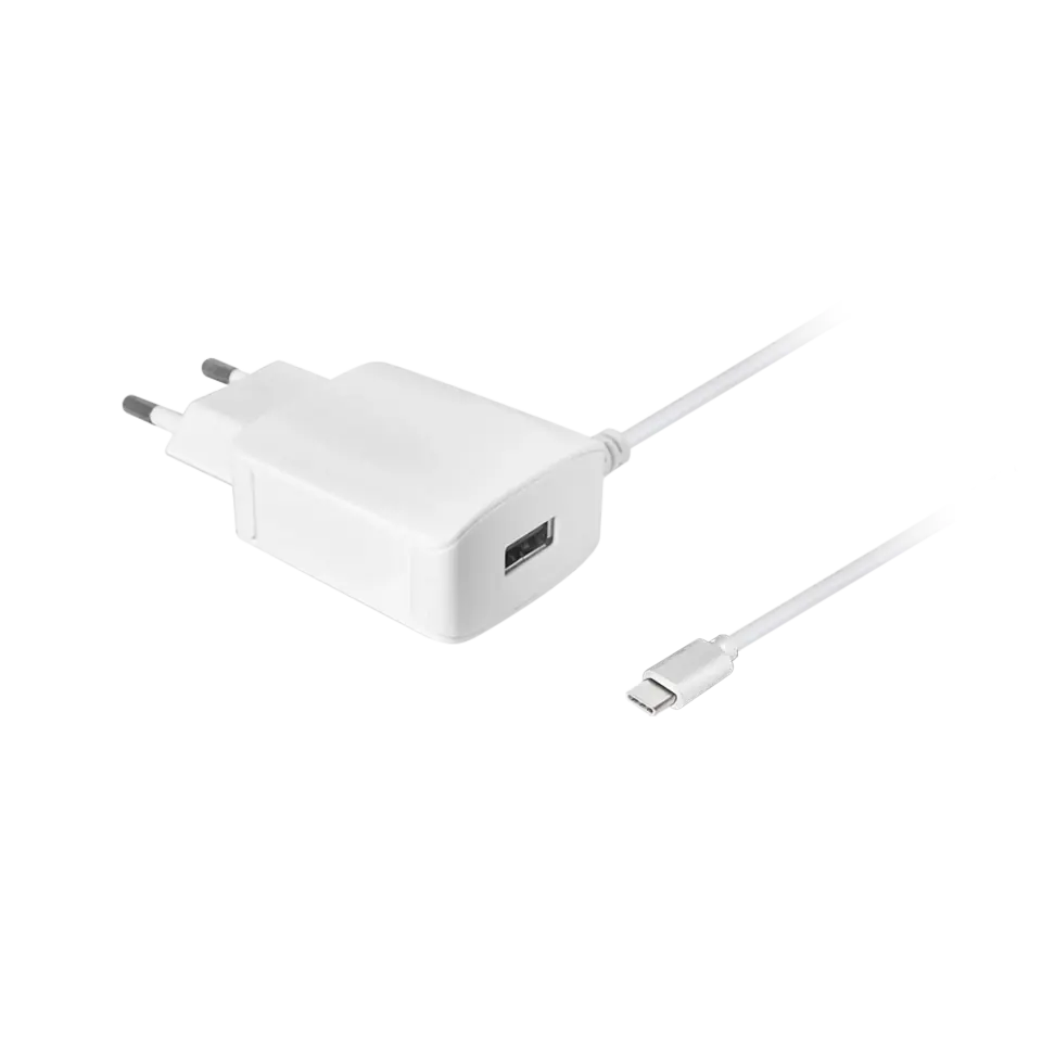 ⁨Ac charger with type C cable 2100 mA⁩ at Wasserman.eu