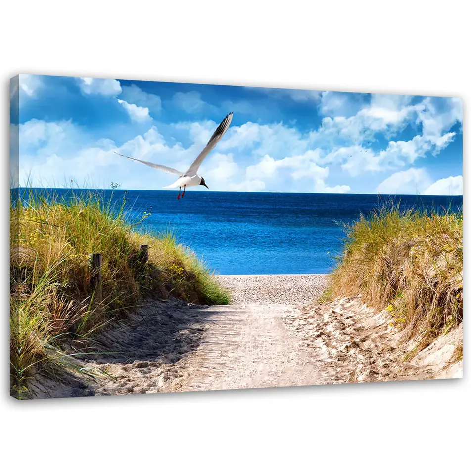 ⁨Obraz na płótnie, Ścieżka na plażę i mewa (Rozmiar 100x70)⁩ w sklepie Wasserman.eu