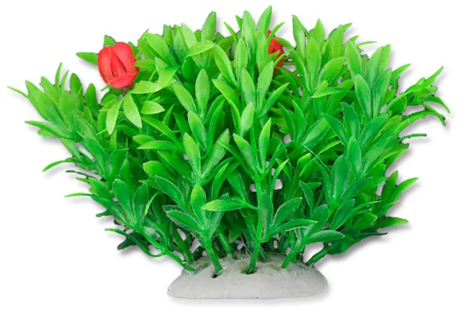 ⁨Roślina folia 10cm 1f02 Happet⁩ w sklepie Wasserman.eu