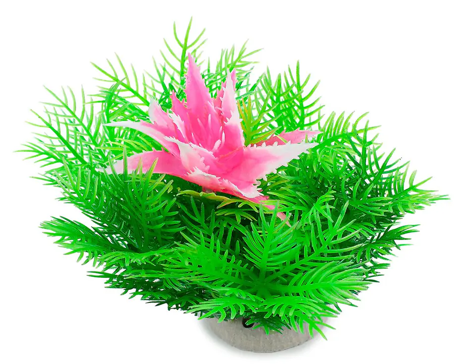 ⁨Roślina folia 10cm 1f12 Happet⁩ w sklepie Wasserman.eu