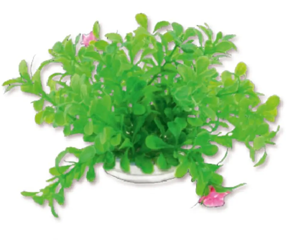 ⁨Roślina folia 10cm 1f18 Happet⁩ w sklepie Wasserman.eu