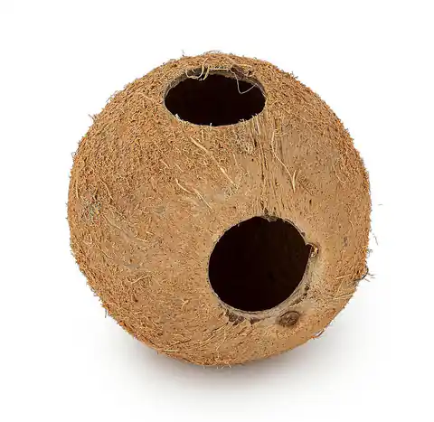 ⁨Skorupa kokosa Happet 1/1 nieszczotkowana 3 szt.⁩ w sklepie Wasserman.eu