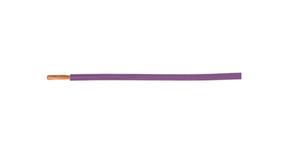 ⁨Installation cable H05V-K (LgY) 1 purple /100m/⁩ at Wasserman.eu