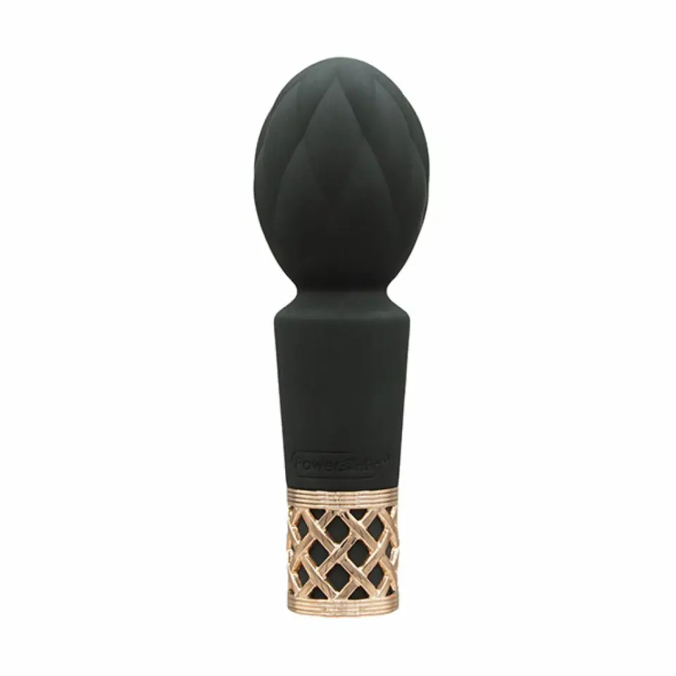 Masażer - Pillow Talk Secrets Pleasure Black w sklepie Wasserman.eu