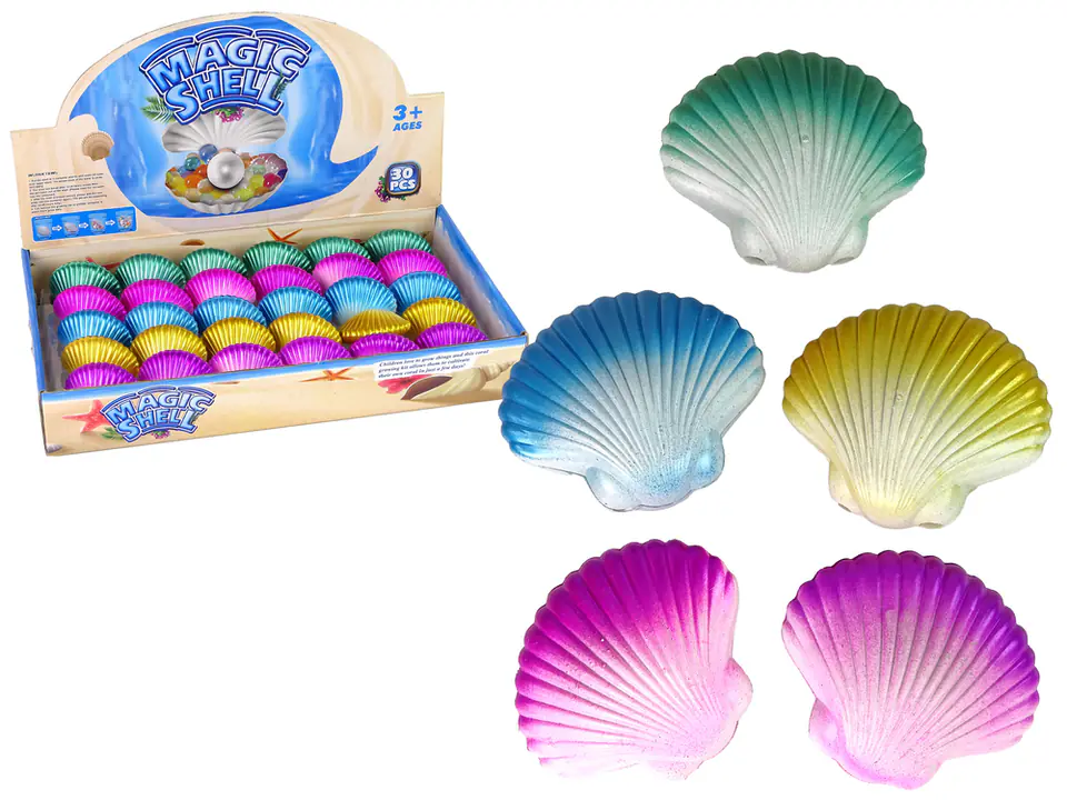 Zwierzęta Morskie Rosnąca Magiczna muszla 6 cm w sklepie Wasserman.eu