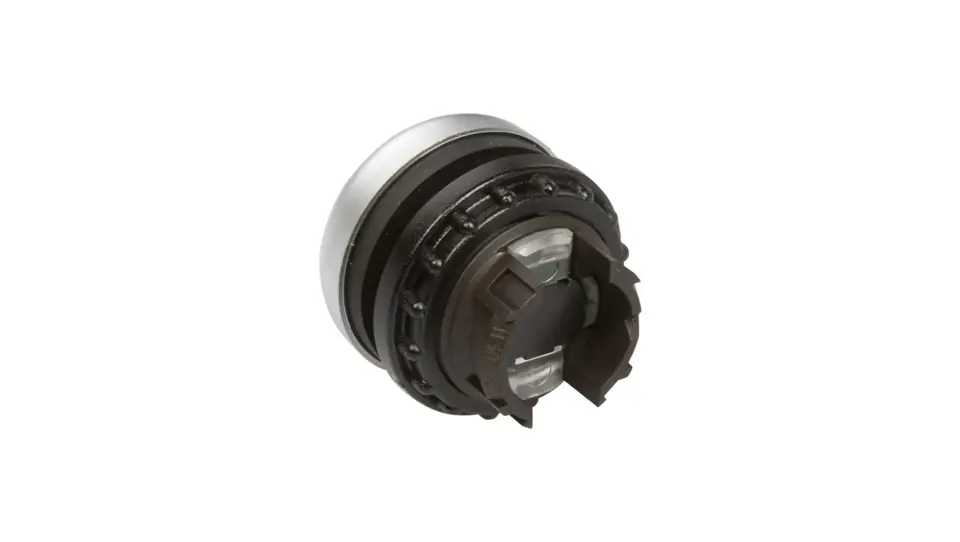 ⁨Push button drive green /I/ with self-return M22-D-G-X1 216607⁩ at Wasserman.eu