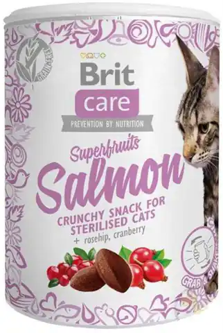 ⁨BRIT CARE CAT SNACK SUPERFRUITS SALMON 100 g⁩ w sklepie Wasserman.eu