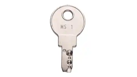 ⁨MS1 M22-ES-MS1 backup key 216416⁩ at Wasserman.eu