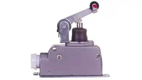 ⁨Limit switch 1R 1Z in flat lever housing with roller LM10-DR W0-59-251032⁩ at Wasserman.eu