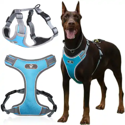 ⁨Szelki treningowe spacerowe dla psa ASTRO błękitne rozmiar XL⁩ w sklepie Wasserman.eu