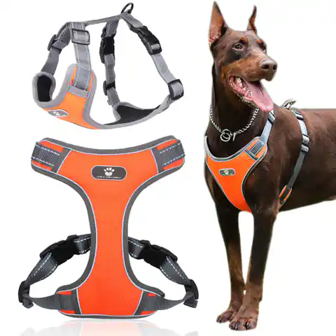 ⁨Szelki treningowe spacerowe dla psa ASTRO pomarańczowe rozmiar XL⁩ w sklepie Wasserman.eu